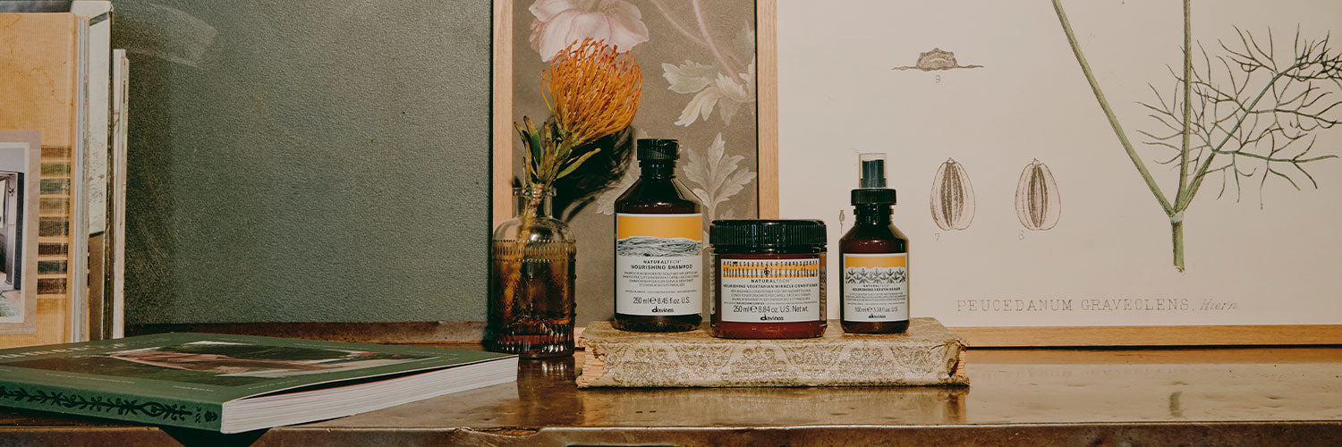 Fall Favorites