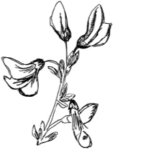 //davenes.com/cdn/shop/t/6/assets/davines-line-finest-pigment-deco-1.jpg?v=31471944834081645081564600822