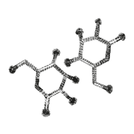 //davenes.com/cdn/shop/t/6/assets/davines-line-naturaltech-deco-3.png?v=48525519344944069281564600793