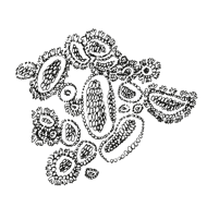 //davenes.com/cdn/shop/t/6/assets/davines-line-naturaltech-deco-4.png?v=171189248533084119171564600819