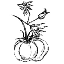 //davenes.com/cdn/shop/t/6/assets/davines-line-finest-pigment-deco-2.jpg?v=79889010406983862501564600796