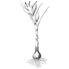 //davenes.com/cdn/shop/t/6/assets/davines-line-finest-pigment-deco-3.jpg?v=146126695551628076941564601029