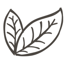 //davenes.com/cdn/shop/t/6/assets/davines-line-single-shampoo-deco-1.png?v=183516140813493506251564600799