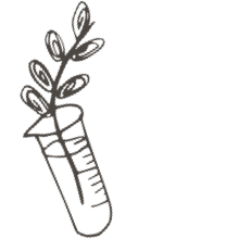 //davenes.com/cdn/shop/t/6/assets/davines-line-single-shampoo-deco-3.png?v=134859518317833459071564600899