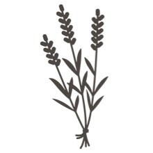 //davenes.com/cdn/shop/t/6/assets/davines-line-single-shampoo-deco-4.png?v=10996012474181549121564600799